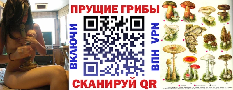 Псилоцибиновые грибы Psilocybe  Купить закладки  Олонец 
